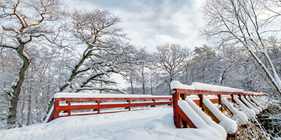 หิมะญี่ปุ่นเป็นสัญญาณการให้เราออกไปเที่ยวฤดูหนาว