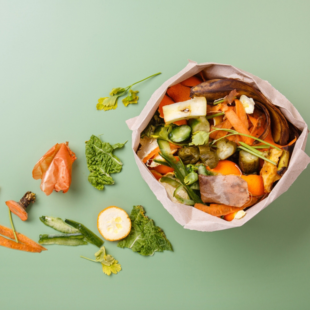 จัดการ food waste ด้วยการแยกประเภท
