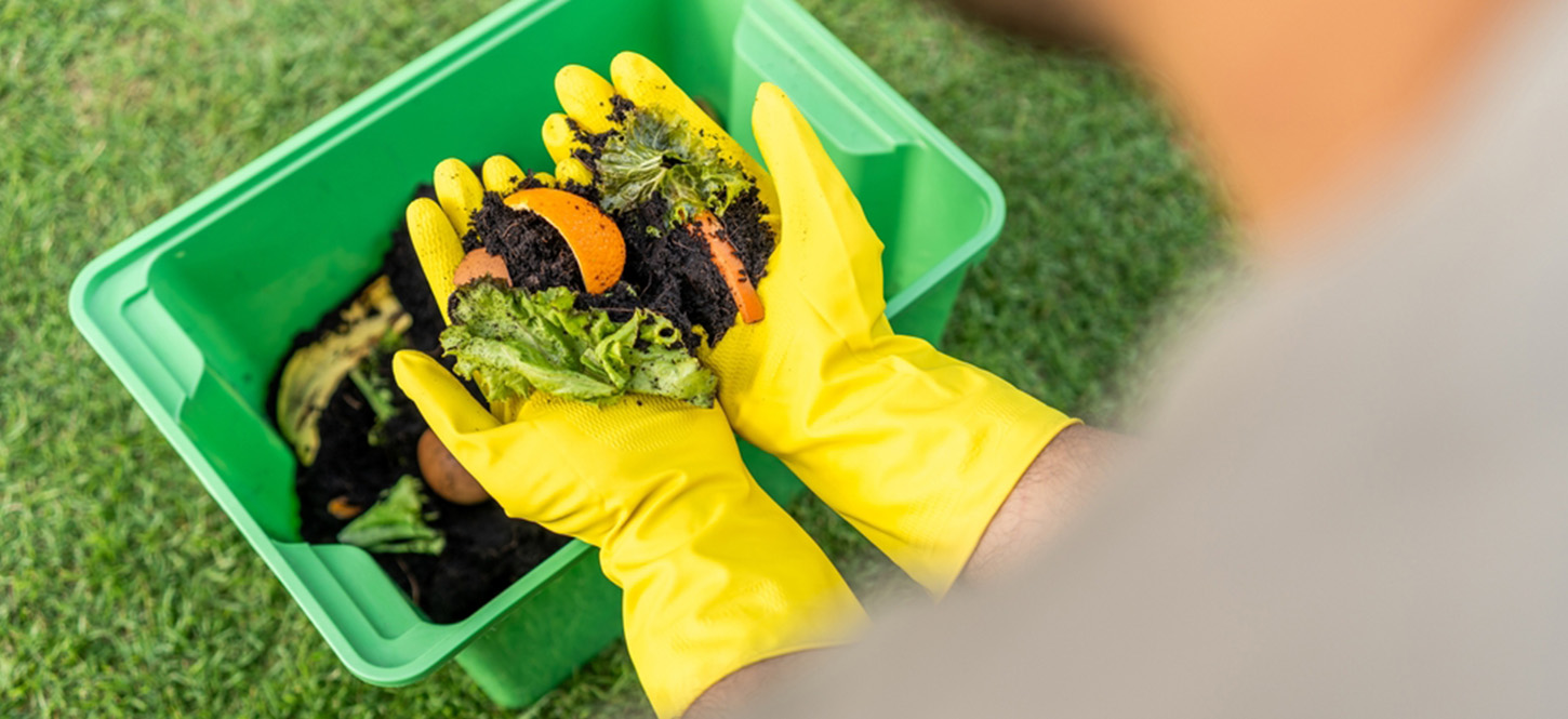 การนำ food waste ไปใช้ให้เกิดประโยชน์