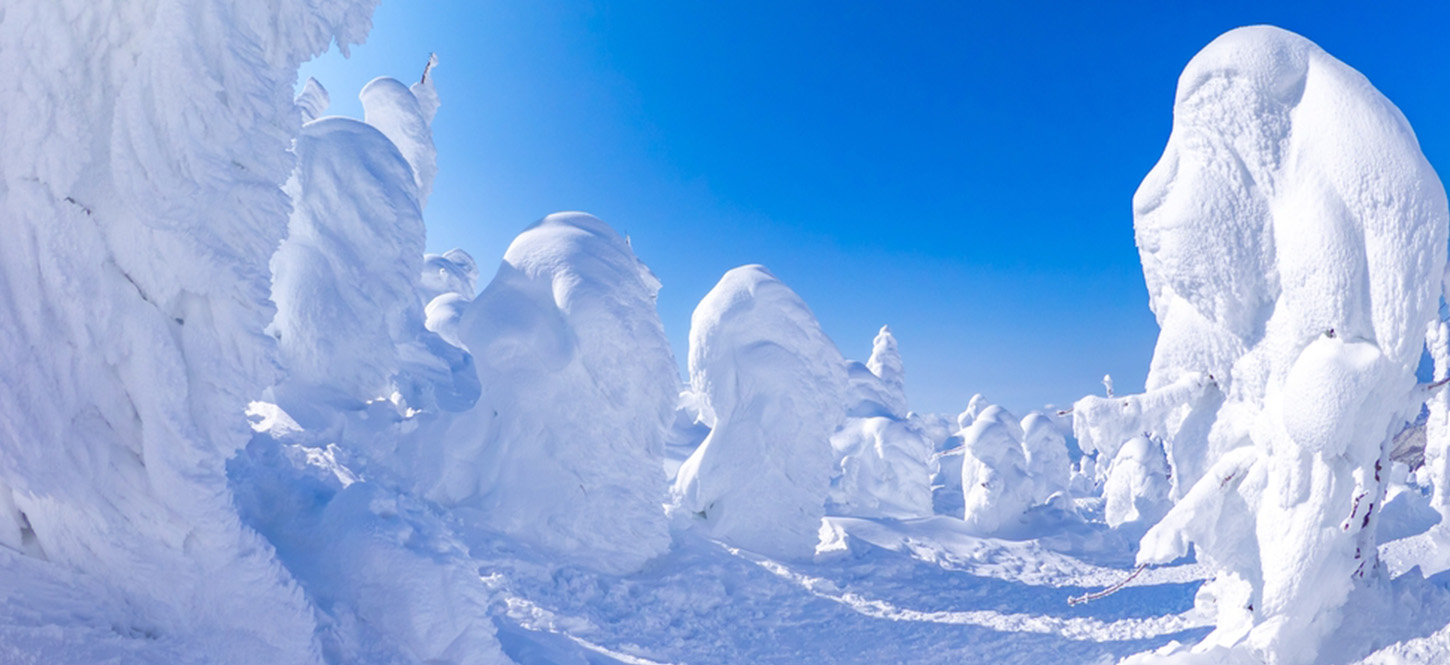 ที่เที่ยวหิมะญี่ปุ่น Zao Snow Monsters